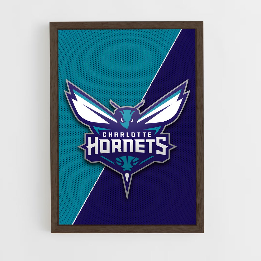 Poster Duel des Hornets – affiche Basketball (vue 5)